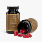 Cordyceps Energy Gummies