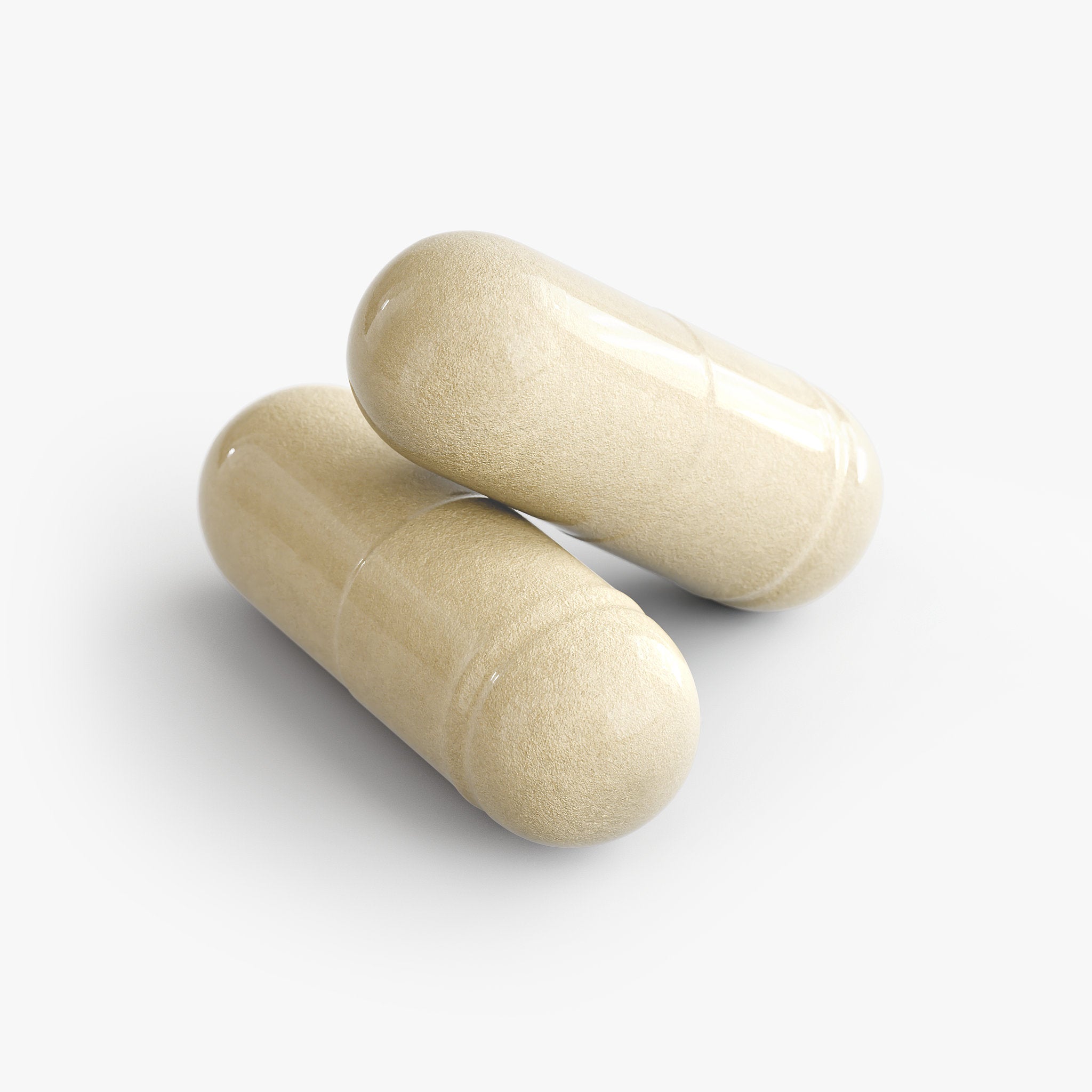 Gut Health Probiotic